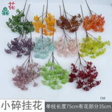С��컨 ��֦5��СҰ���ѹ��ӷ��滨�ٻ���c�Ƶ���@�L�zӰ�b�