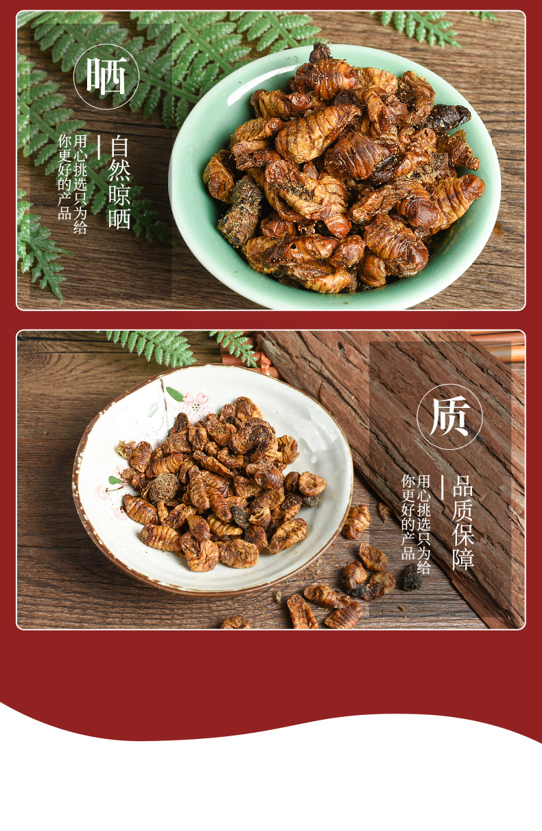 Dried Silkworm Chrysalis (Bombyx mori) — Edible Food-Use Dried Silkworm Pupa, 500g Bulk quality and texture