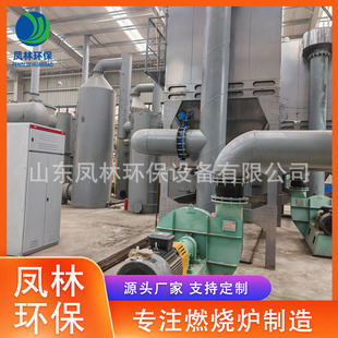 Heat Storage Thermal Incinerator Small Garbage High Temperature Gasifier School Community Incineration Environmental Protection Equipment Processing