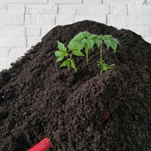 腐叶土种菜土种花土山泥土花土土通用土 养花土纯泥土通用型包邮