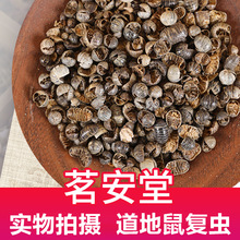 ���l��ș��ɢ�b500g��D�x �F؛��������r����D�x �����x ���x