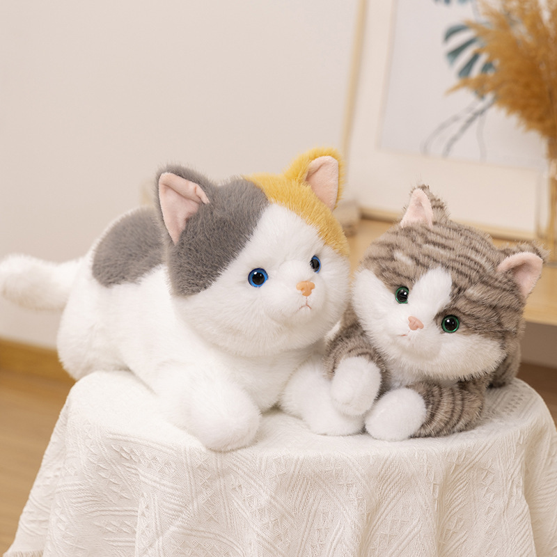 Juguetes de peluche de gato de simulación, muñecos de gatitos lindos, muñecas, muñecas, gatos de algalia, gatos, regalos creativos, gatos