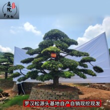 ͥԺ_hɹ_hͥԺǰͥԺ_h_h辰