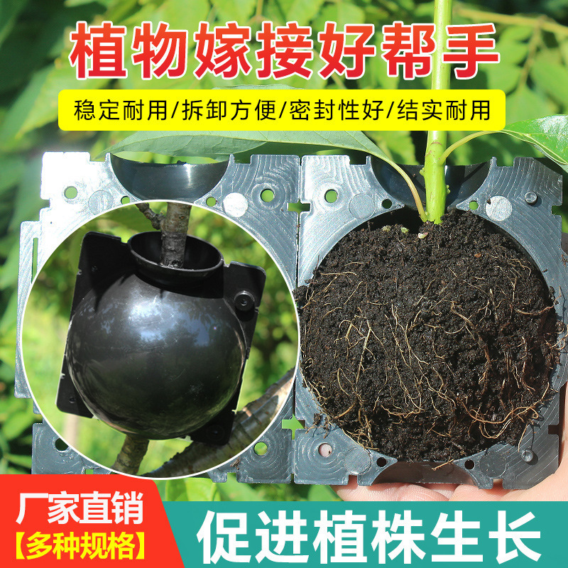 Caja de cultivo de enraizamiento, arboreto, rama, paquete de alta presión, control de rama, injerto de rama, herramientas de jardinería, molde de alta presión