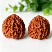 特惠款文玩龙纹核桃盘龙纹核桃新手可入公子帽狮子头核桃文玩批发
