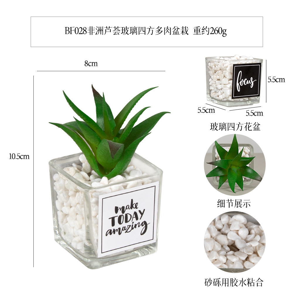 De cinco capas de aloe africano pegatina de vidrio mini suculenta maceta decoración de escritorio simulación planta de piedra artificial bonsai