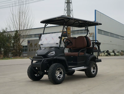 Golf Carts with 2-10 Elektrikli qolf avtomobilləri - 4-golf-carts