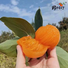 速冻中式面点;传统糕点;方便粥类