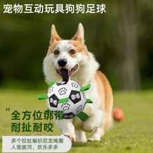 跨境亚马逊宠物玩具狗狗足球人宠互动训练适用小中大型犬狗玩具球