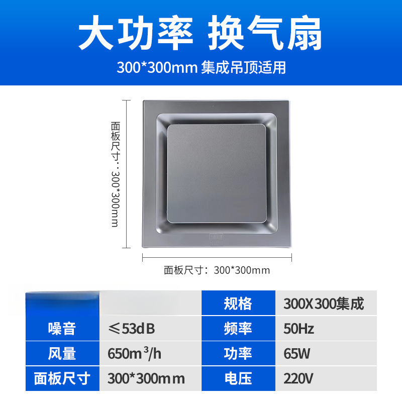 Dafangyin 65W 고출력