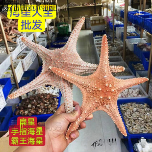 �� �����ǵ����b��N���[����Ȼ��ؐ�� ��ָ��
