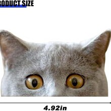 可爱的偷窥猫贴纸防水室内外乙烯基贴花5英寸好奇的偷窥小猫贴