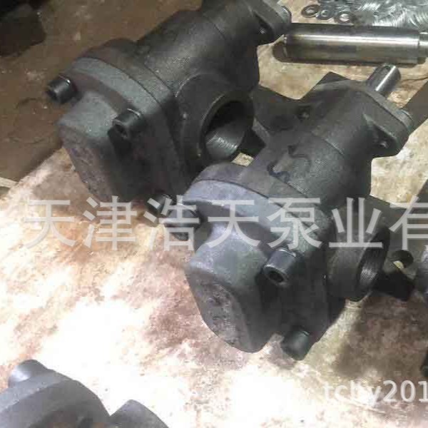齿轮泵TDQG 球墨铸铁齿轮泵 较耐磨齿轮泵