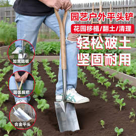 水曲柳木柄大铲园艺大号方锹不锈钢铲子工具松土移栽农用尖头铁锨