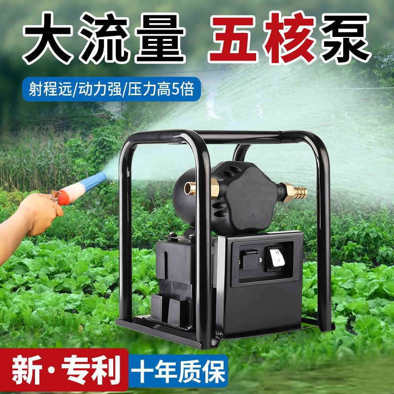 大功率充电浇菜水泵户外农用灌溉抽水机12V高压水泵大流量抽水泵