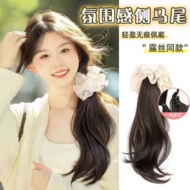 假发马尾;发包/丸子假发;其他假发