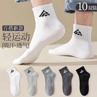 ���m��Ͳ��ɫ�m�Ӻ�ɫ���m2025�ļ������\��͸��@���m��ɫ���m��