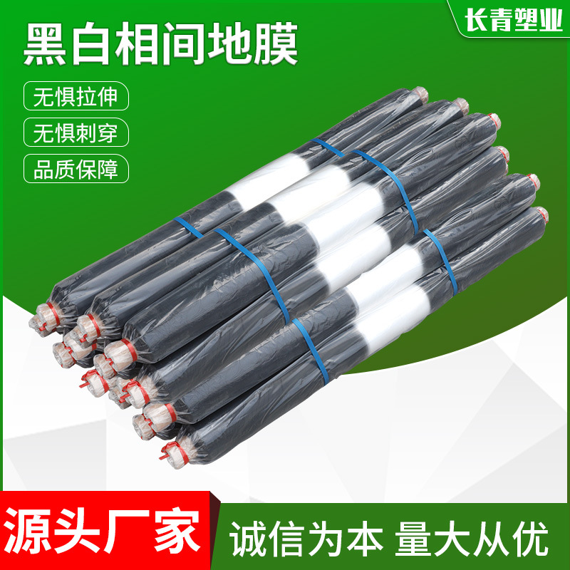 Película de plástico blanco y negro al por mayor de múltiples especificaciones película agrícola de tela de plástico película de polietileno película agrícola película de plástico transparente