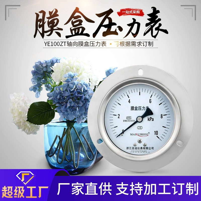 Осевой мембранный Манометр с кромкой YE100ZT Мембранный удаленный манометр аммиака Осевой вакуумный манометр с кромкой