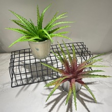 �������ֲ���ָ�ܛ�z�J�C�����m���ϼٶ���ֲ��С���ԟᎧ΢���^