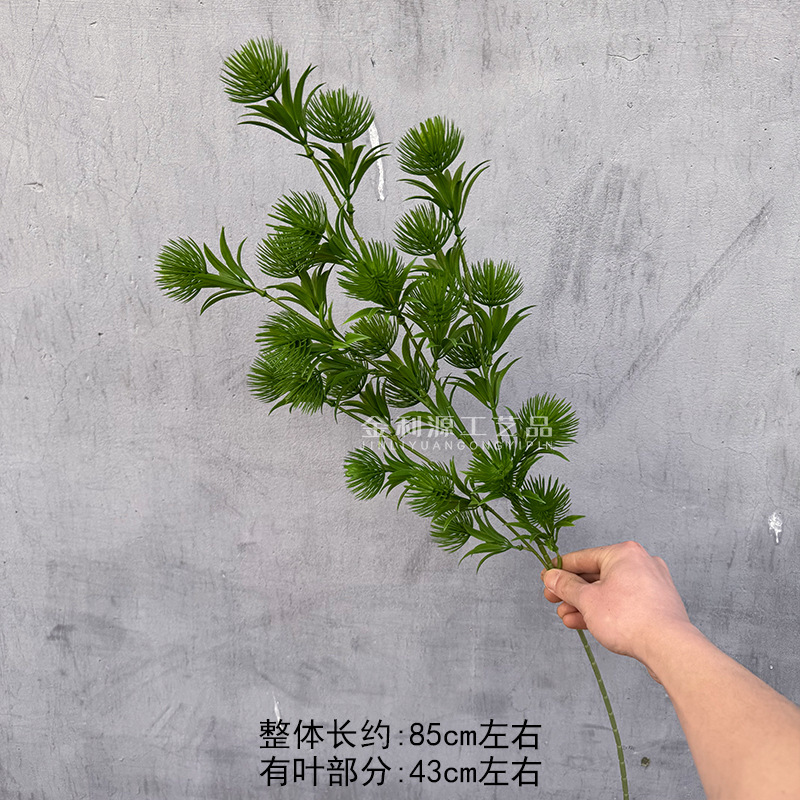 솔방울 녹색