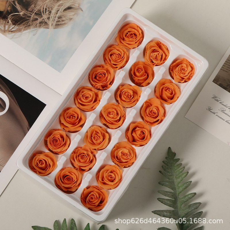 Flores inmortales Grado B 2 - 3cm rosas pequeñas flores frescas flores secas rosas DIY oso unicornio regalos de boda