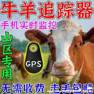 Locator Tracking and Tracking Animal Cattle and Sheep Artifact Gps Outdoor Waterproof Instrument Positioning Tracking Water