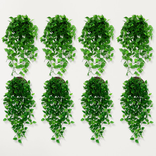 �����ٗl�����bٻ�����������پG�~�쾰�����Gֲ���⾰�G��