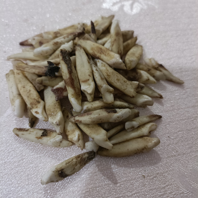 QQ图片20211216221957_副本