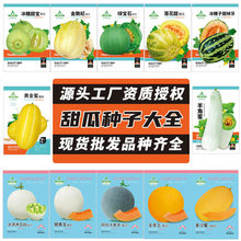 甜瓜种子大全薄皮厚皮香瓜种籽羊角蜜哈密瓜冰糖子绿宝石白黄花皮