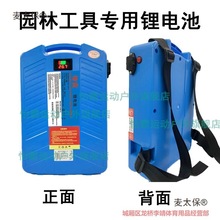 60v늳48V늄ӸݙC24VGhCͨ늳21Vؓʽ̫