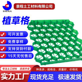 草坪格市政工程植草板停车场消防通道护坡小区园林绿化塑料植草格