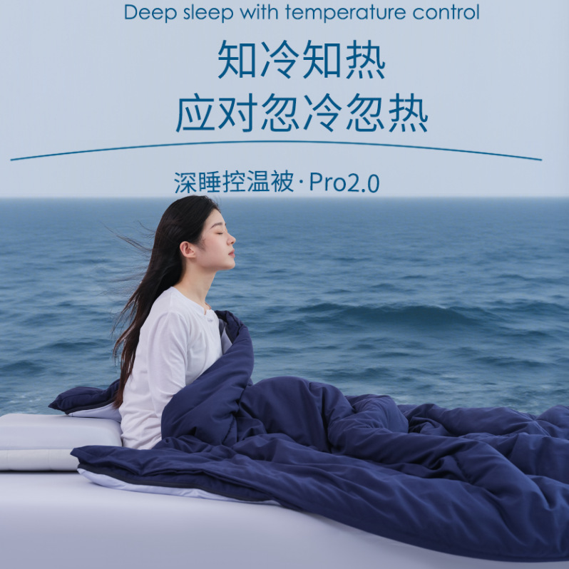 New Deep Sleep Temperature Control Pro2.0 Sub-Mother Temperature Control Quilt Core Deep Sleep Winter Quilt Washable Distribution Wholesale