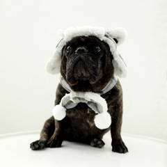 IBEANS Dog Hat Pet Winter Cotton Hat Lei Feng Hat Thickened Fleece Warm Dog Cotton Scarf Necktie