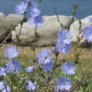 ���ķN���׷N����}������Ŀ�˶�����șʳ�����̨ͥԺ�ﲥ�N��