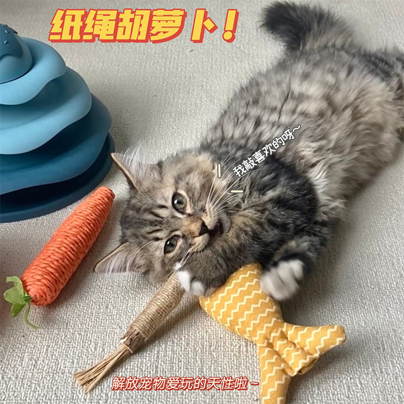 고양이 장난감, 자기 자극 및 지루함 해소 유물, 웃긴 고양이와 새끼 고양이, 이를 갈고 물리지 않는 당근, 고양이 웃긴 막대기, 애완용 고양이 용품 배치
