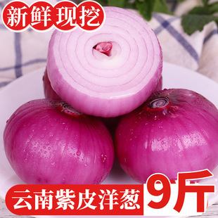���ˮ�����[��Ƥ9��A�[�[�^���r�߲��r����ζ���Լt���[ˮ��