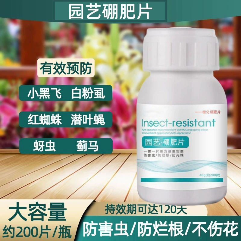 Листья борного удобрения домашнее садоводство осахаривание борного удобрения зеленая посадка цветов против насекомых гранулы растения