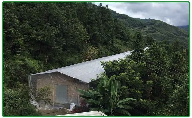 dc8649cf-1abe-477b-8ca0-6796d3ea2bf0.jpe