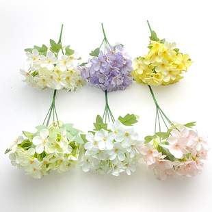 ���W���Ļ����� �����O���� ��Y�ÔzӰ��ˇ���� �Ҿ����[�b�Ʒ