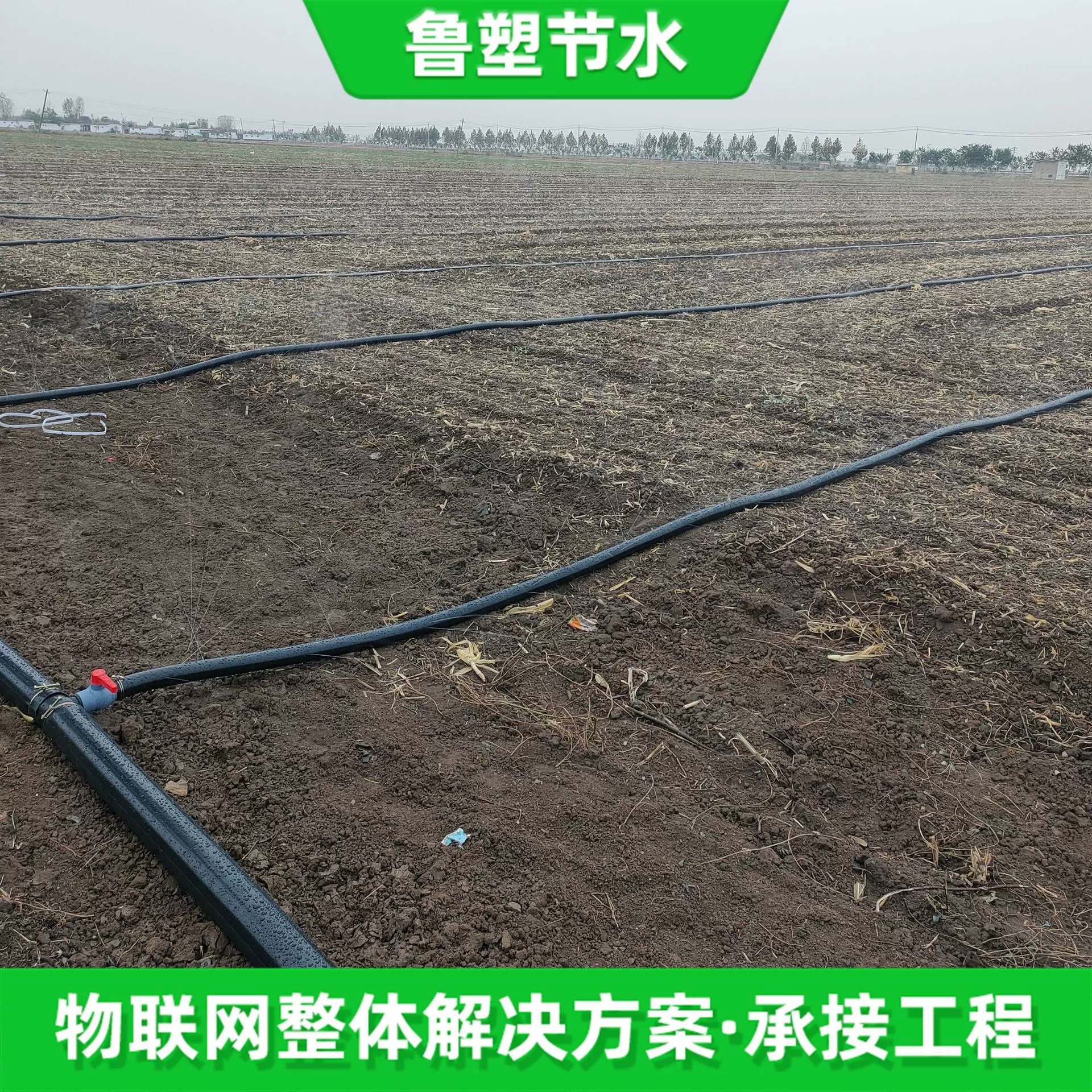 Пшеничная микро-распылительная лента 1-дюймовая водяная лента с пятью отверстиями микро-распылительная трубка для сельскохозяйственного орошения PE микро-распылительная лента для плодовых деревьев пшеницы