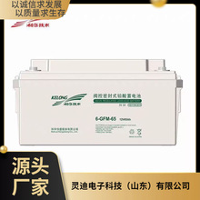 A늳6-GFM-65 12V65AHͨŻվ  늙 EPSԴ