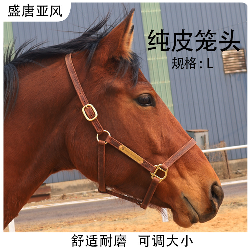 盛唐亚风纯皮笼头马术用品耐磨耐用可调节大小矮马马具马龙头