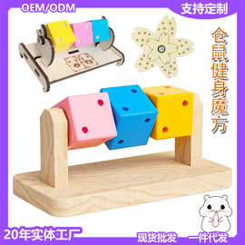 仓鼠健身魔方转轮运动飞盘小宠物解压防忧郁玩具金丝熊笼子带支架