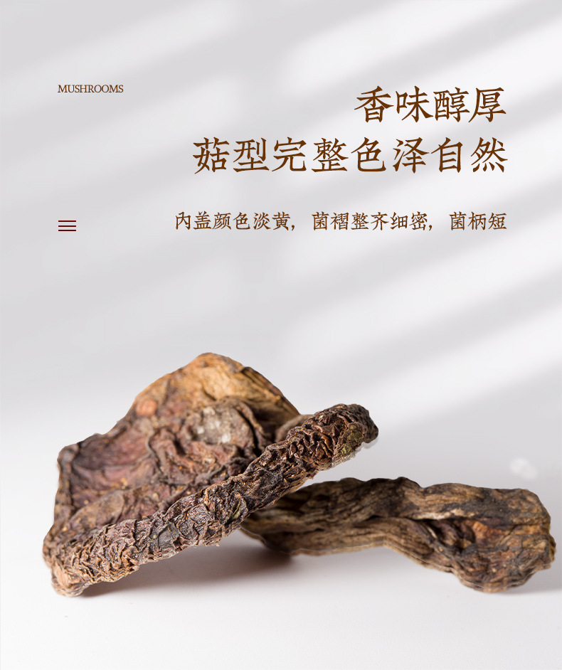 Helan Mountain Purple Mushroom Dried Ningxia Specialty 100g Boxed Culinary Mushroom quality and texture