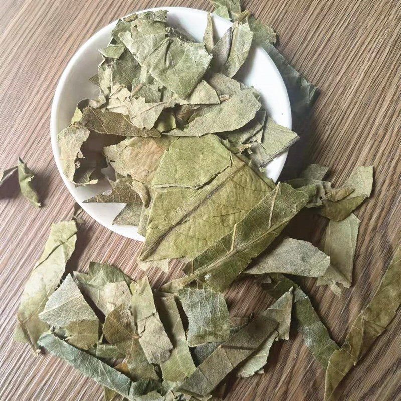 Dried Loquat Leaf Pi Pa Ye Eriobotrya japonica Clean Sifted Herbal Tea Leaves Bulk Wholesale specifications
