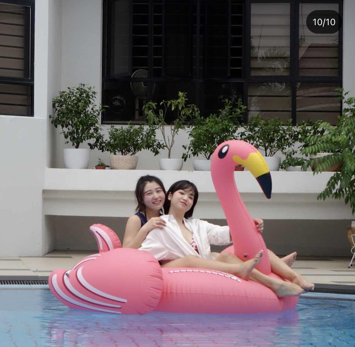 f33301a2a6d88b394c4fbf7a8ecf90