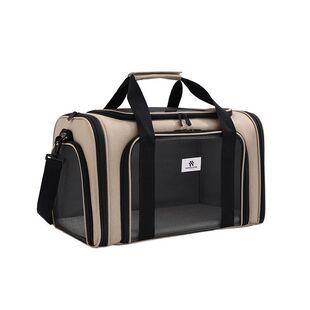 ����������¿�؈؈��y���������؈؈������ۯB��������͸��