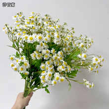 ������ʾ� ɭϵ����ܛ�b����С�r�� ��Y�ÔzӰ������滨С���^