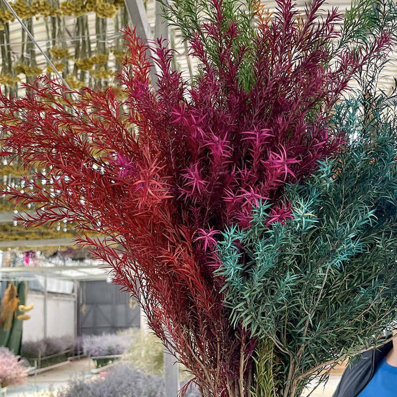 Eternal Life Thousand Layer Gold Yunnan Eternal Flower Factory Wholesale Dried Flower Bouquets Flower Arrangement Accessories Home Decoration Wedding